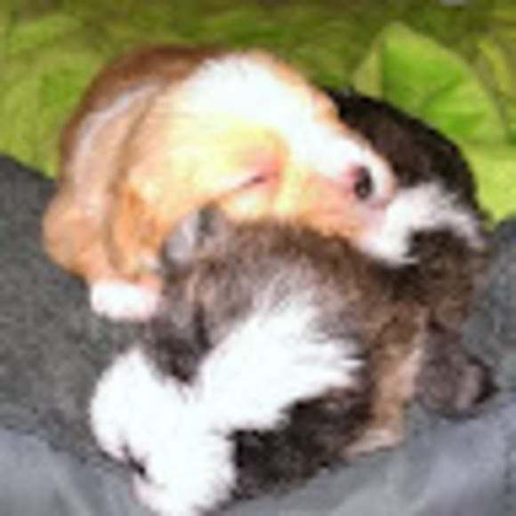 Meet your Posher, Kelley - Picture 1 of 1